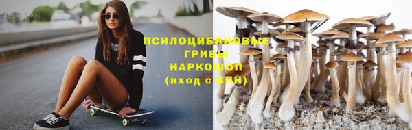 гидра Майский