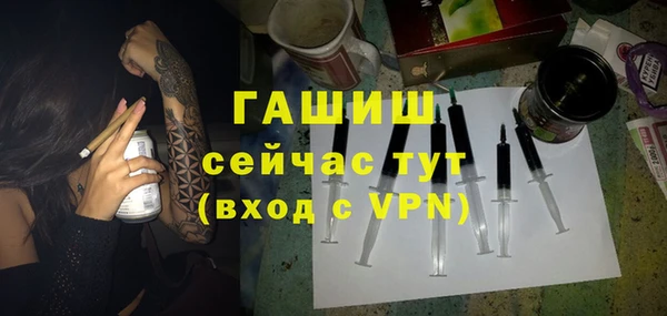 гидра Майский