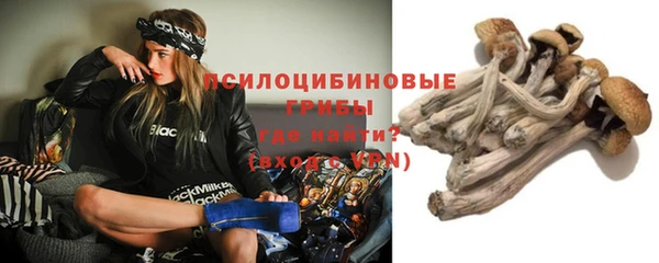 ALPHA-PVP Магас