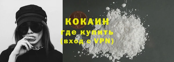 крисы Магадан