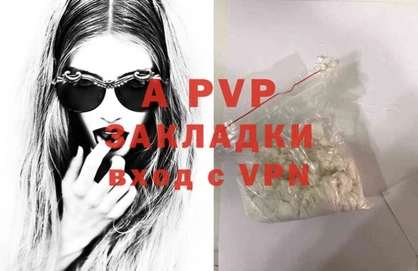 гидра Майский