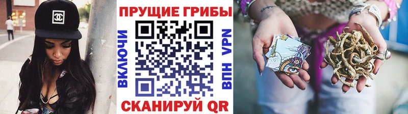 Галлюциногенные грибы мицелий Тольятти