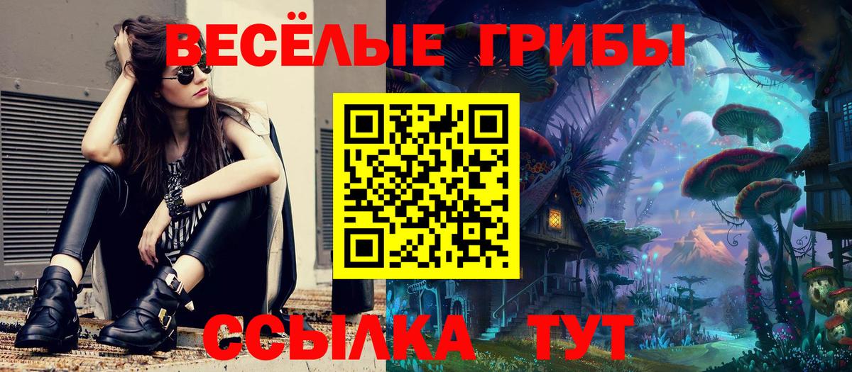 Тольятти  Псилоцибиновые грибы GOLDEN TEACHER  где найти наркотики  Галлюциногенные грибы мицелий  Вход с VPN 