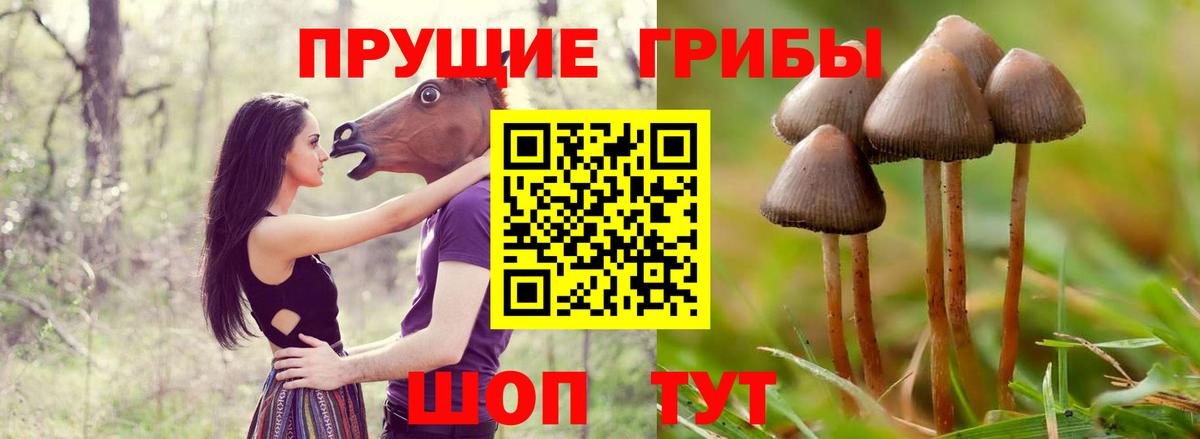 Галлюциногенные грибы прущие грибы Тольятти